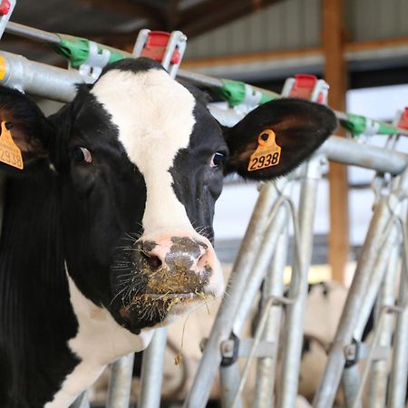 Le Thuit - F2 Plain Pied Tout Equipe A La Ferme Charleval  Exterior foto