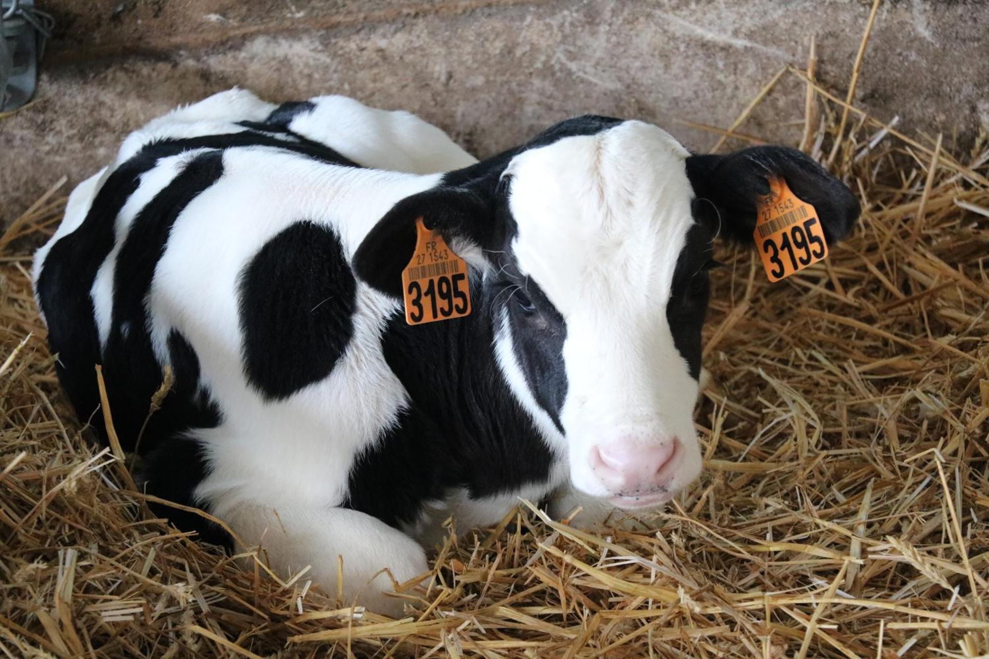 Le Thuit - F2 Plain Pied Tout Equipe A La Ferme Charleval  Exterior foto