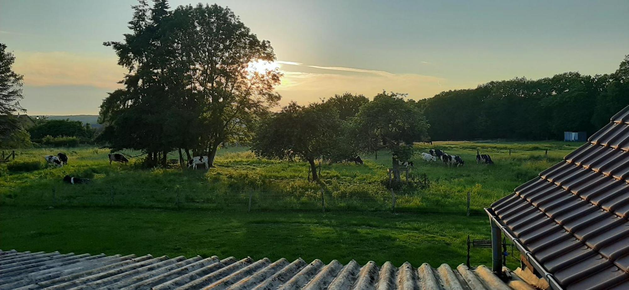 Le Thuit - F2 Plain Pied Tout Equipe A La Ferme Charleval  Exterior foto
