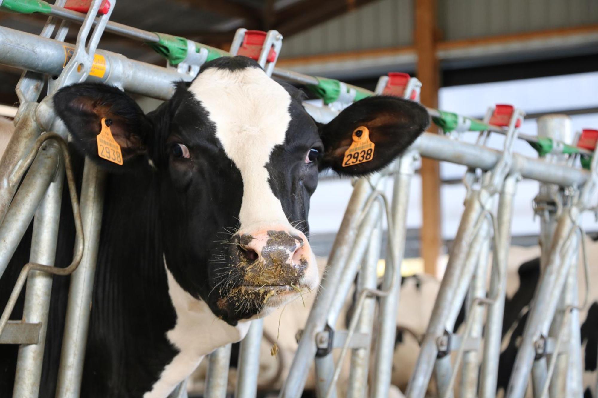 Le Thuit - F2 Plain Pied Tout Equipe A La Ferme Charleval  Exterior foto