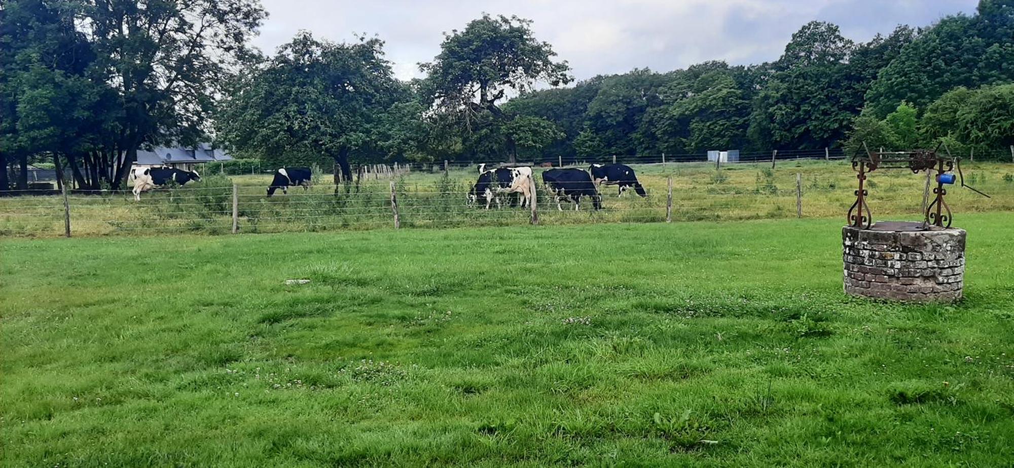Le Thuit - F2 Plain Pied Tout Equipe A La Ferme Charleval  Exterior foto